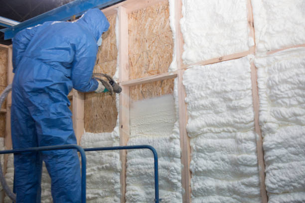 Best Insulation Air Sealing  in Pahala, HI